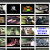 AirsoftWall.com online!